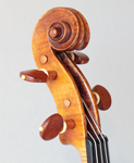 Sgarbi Scroll Front and Bass Side